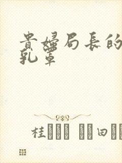 贵妇局长的蕾丝乳罩