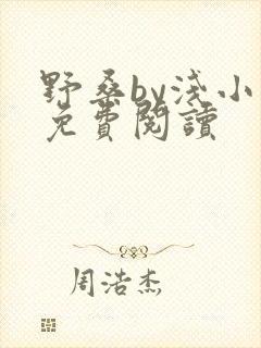 野桑by浅小说免费阅读