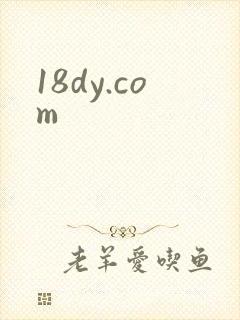 18dy.com
