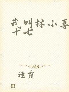 我叫林小喜今年十七封面