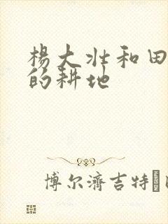 杨大壮和田桂花的耕地