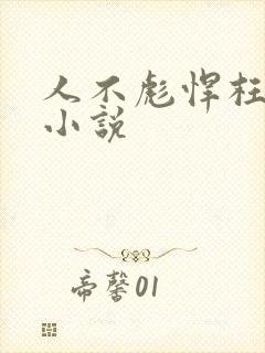 人不彪悍枉少年小说