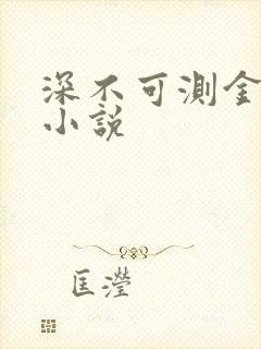 深不可测金银花小说