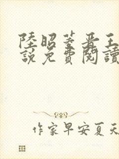 陆昭菱晋王的小说免费阅读