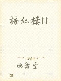 诱红楼11