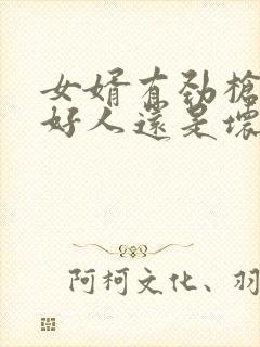 女婿有劲枪枪是好人还是坏人