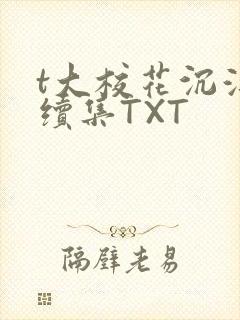 t大校花沉浮录续集TXT