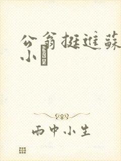 公翁挺进苏玥的小泬