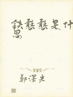 铁憨憨是什么意思