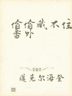 偷偷藏不住新婚番外