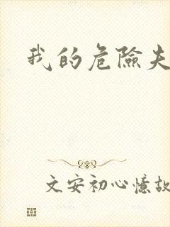 我的危险夫人