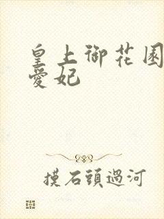 皇上御花园中要爱妃