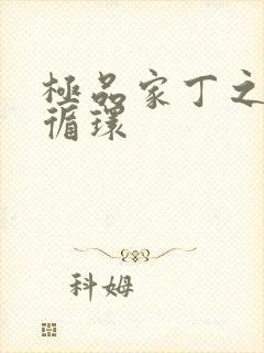 极品家丁之因果循环