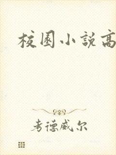 校园小说高h