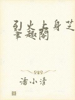 引火上身芝麻糖笔趣阁