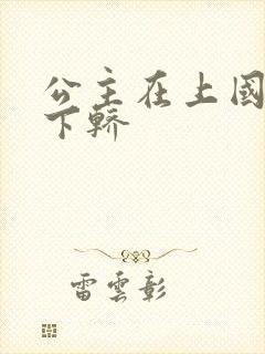 公主在上国师请下轿