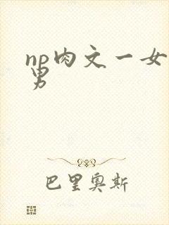 np肉文一女多男