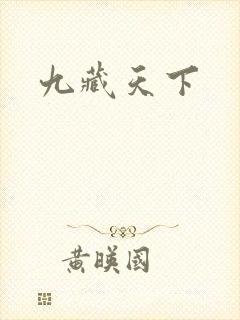 九藏天下