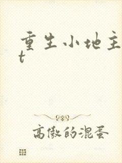 重生小地主txt
