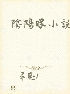 阴阳眼小说