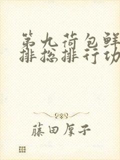 第九荷包鲜辣肉排总排行功能介绍