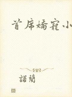 首席娇宠小情人