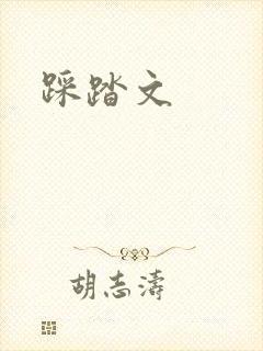 《踩踏文》小说封面