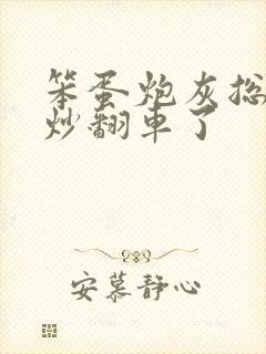 笨蛋炮灰总被爆炒翻车了