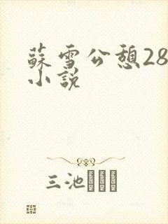 苏雪公憩28篇小说