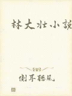 林大壮小说阅读