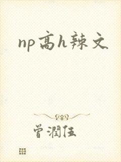 np高h辣文
