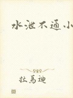 水泄不通小说