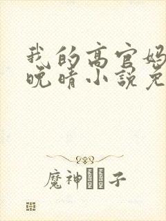 我的高官妈妈苏晚晴小说免费阅读