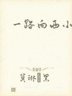一路向西小说