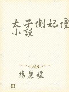 太子侧妃傻乎乎小说