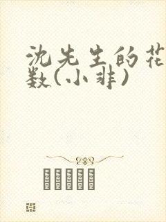 沈先生的花式调数(小非)