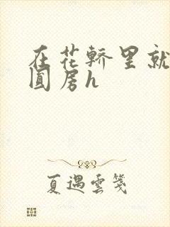 在花轿里就开始圆房h