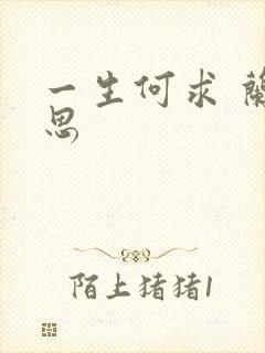 一生何求 兰思思