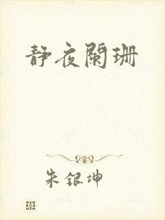 静夜阑珊