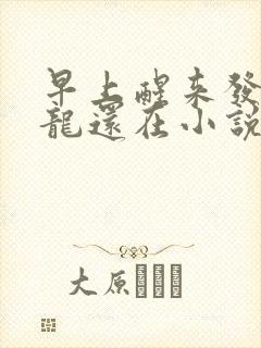 早上醒来发现巨龙还在小说