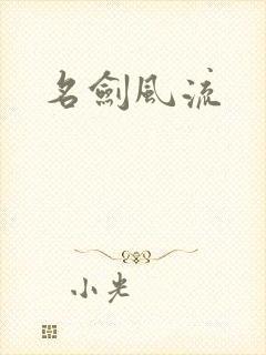 名剑风流封面