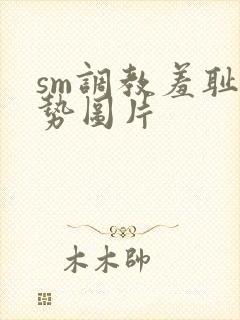 sm调教羞耻姿势图片