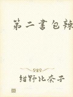 第二书包辣文