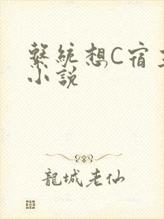 系统想C宿主的小说