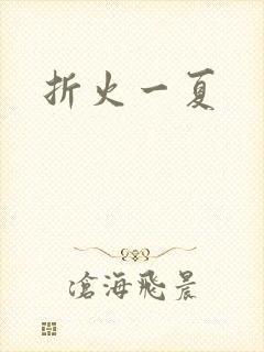 折火一夏封面