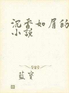 沉香如屑的原著小说