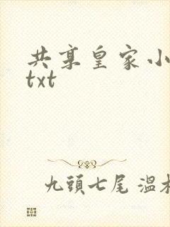 共享皇家小公主txt