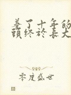 养了十年的小丫头终于长大了