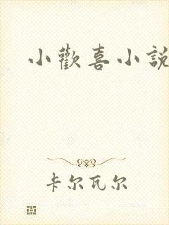 小欢喜小说
