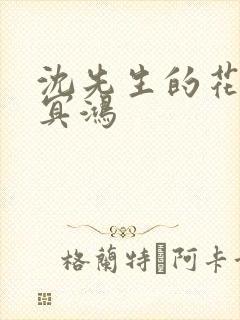 沈先生的花式调冥鸿